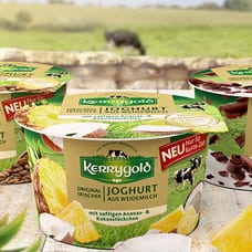 Kerrygold Yogurts in Germany